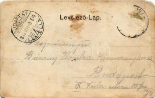 1905 Temesvár, Timisoara; Temes-Béga vízszabályozási palota. Polatsek kiadása / Timis-Bega river reg...