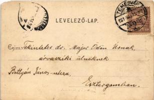 1901 Temesvár, Timisoara; Városháza. Polatsek kiadása / town hall (EM)