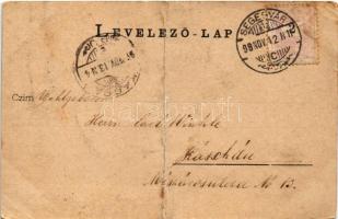 1898 Segesvár, Schässburg, Sighisoara; látkép, Evangélikus vártemplom és gimnázium, Városháza. Fritz...