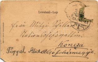 1903 Nagyszeben, Hermannstadt, Sibiu; Erlenpark mit Garnisons-Spital / Osztrák-magyar helyőrségi kór...