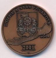 Veres Gábor (1955-) 2001.Siófok a nyár fővárosa Br emlékérem (42mm) T:1