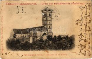 1902 Gyulafehérvár, Karlsburg, Alba Iulia; Székesegyház a várban. F. W. Petri kiadása / Domkirche in der Festung / cathedral, fortress (lyuk / hole)