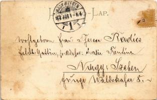 1902 Gyulafehérvár, Karlsburg, Alba Iulia; Székesegyház a várban. F. W. Petri kiadása / Domkirche in...