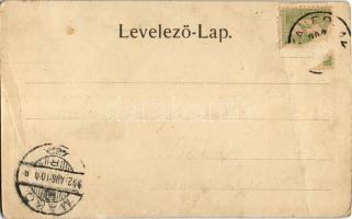 1902 Stájerlak, Stájerlakanina, Steierdorf (Anina); Koronini vízesés. Hollschütz F. kiadása / Koroni...