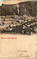 1900 Anina, Stájerlakanina, Steierdorf; vasgyári látkép / iron works, factory (b)
