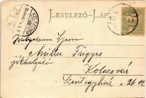 1903 Szászváros, Broos, Orastie; Stadtpark / park gyerekekkel, zsinagóga. H. Graef kiadása / park wi...