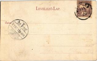 1901 Medgyes, Mediasch, Medias; ehem. Zekescher-Tor / Zekesch-kapu / city gate (vágott / cut)