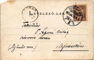 1901 Kisdisznód, Michelsberg, Cisnadioara; Evangélikus erődtemplom, vár. G. A. Seraphin kiadása / Ce...
