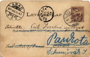 1901 Zilah, Zalau; Kossuth tér, üzletek. Seres Samu kiadása / square, shops (fa)