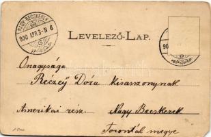 1900 Zilah, Zalau; látkép, templomok. Seres Samu kiadása / general view, churches (EM)