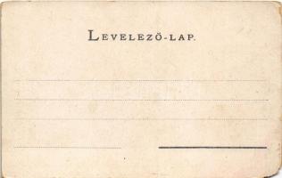 Barcaság, Burzenland, Tara Barsei; Rosenauer Burg, Törzburg / Barcarozsnyó vára, Törcsvár. Kiadja G....