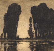 Weber József (?-?): Fekete fáklyák, rézkarc, papír, jelzett, kartonra kasírozva, 17x24 cm