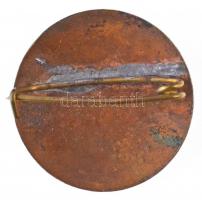 ~1930-1940. "Önkéntes Ápolónő" zománcozott Br jelvény (22mm) T:1- 
Hungary ~1930-1940. &q...
