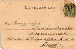 1903 Zajzon, Zizin; Zajzon-fürdő, Lobogó, Patak részlet. Kanitz C. és Fiai kiadása / spa, bath, cree...