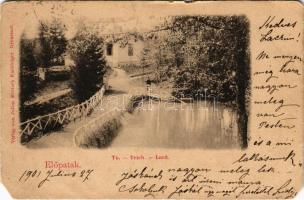 1901 Előpatak, Valcele; Tó. Julius Müller utóda kiadása / Teich / Lacu / lake (EM)