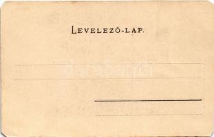 Előpatak, Valcele; fürdő, főforrás, Bogdán villa. Julius Müller utóda kiadása / spa, bath, main spri...