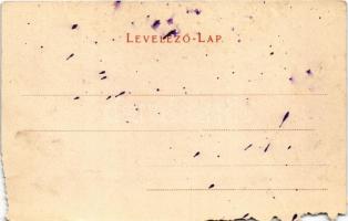 Előpatak, Valcele; Bad Lobogó u. Otroban'sche Villa / Lobogó fürdő és Otroban villa. Julius Mül...