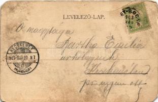 1903 Boksánbánya, Németbogsán, Deutsch-Bogsan, Bocsa Montana; utca, Görögkatolikus templom, üzletek....