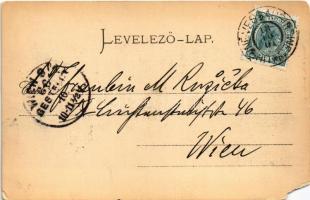 1901 Orsova, látkép / general view (EM)