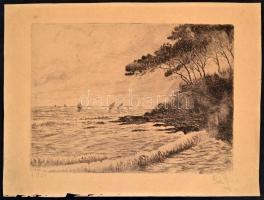 Pál János (?-?): Balaton, 1951. Rézkarc, papír, lap alja sérült. rézkarc ép, 23x31,5 cm