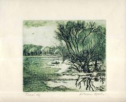 Kőhegyi Gyula (1933-): Tiszai táj, rézkarc, szignált 28x22cm
