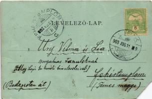 1903 Lipik, Kő fürdő / Steinbad / spa, bath (EM)