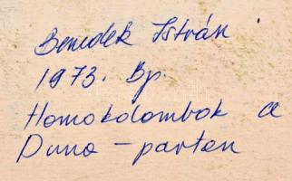 Benedek István (?-?): Homokdombok a Duna-parton. Kréta, papír, jelzett, hátoldalán is jelzett, felir...