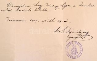 1907 Apponyi Albert (1846-1933) vallás- és közoktatásügyi miniszter (1906-1910), politikus, országgy...