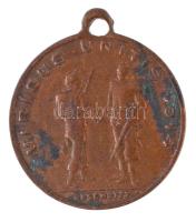 Osztrák-Magyar Monarchia 1914. "Ferenc József - II. Vilmos / 1914 Viribus Unitis" Br medál...