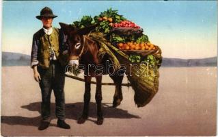 Costumi Napoletani / Neapolitan fruit seller with donkey, Italian folklore. Edit. Brunner & Co. 20-59. (Rb)