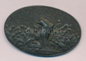 Sződy Szilárd (1878-1939) 1918. Forradalom 1918. X. 31. Zn emlékérem (32x50mm) T:2 Hungary 1918. Revolution 31. X. 1918. Zn commemorative medal (32x50mm) C:XF