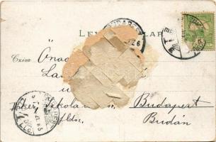 1907 Zimony, Semlin, Zemun; látkép. Mehner & Maas 8387. / general view (Rb)