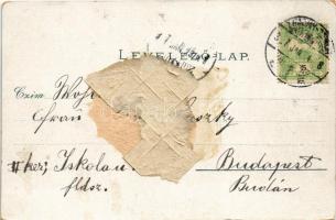 1907 Zimony, Semlin, Zemun; látkép. Mehner & Maas 7793. / general view (Rb)