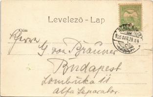 1905 Szászrégen, Reghin; Hauptplatz / Fő tér, Városi szálloda, Schwarz üzlete. Ignatz Hübner kiadása...