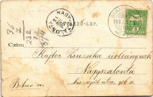 1908 Mézged, Meziad; Pestera Meziad / Meziádi (Mézgedi) cseppkőbarlang, a katakombák oszlopcsarnoka ...