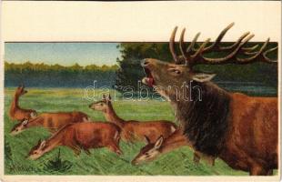 Hunting art postcard, deer. Erika Nr. 458. litho s: Mailick