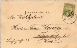 1906 Nadrág, Nadrag, Steinacker; Eisenwerk Nadrág, Walzhütte, Heizhaus / vasgyár, hengermű telep, ka...