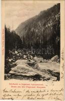 1903 Fogarasi-havasok (Fogarasi Kárpátok), Fogarascher Karpathen, Muntii Fagarasului; Fleissig Jakab kiadása