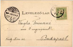 1903 Fogarasi-havasok (Fogarasi Kárpátok), Fogarascher Karpathen, Muntii Fagarasului; Fleissig Jakab...