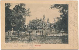 1903 Buziás, Buziásfürdő, Baile Buzias; Roundo / Rondó / park (ázott / wet damage)