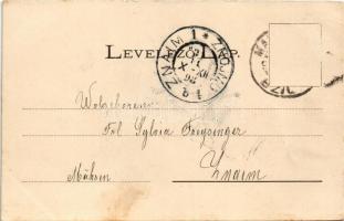 1898 Szlatinafüred, Slatina (Aknaszlatina, Máramaros); Pável sósfürdő, park, szálloda, nyaralók. May...