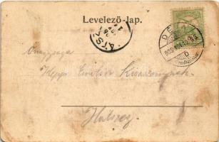 1905 Őraljaboldogfalva, Santamaria-Orlea (Hátszeg, Hateg); Református templom, lovaskocsi. Kendoff A...