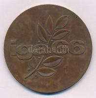 NDK 1966. "Nemzetközi Kertészeti Kiállítás és Vásár, Erfurt NDK / IGA66" Br emlékérem (60m...