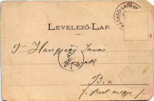 1901 Nádasdladány, park. Klösz György kiadása (vágott / cut)