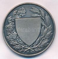 Berán Lajos (1882-1943) ~1930. "Országos Testnevelési Tanács" ezüstözött, peremen jelzett ...