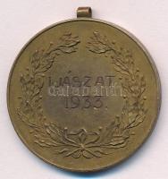 1933. "Gábor Áron Polgári Lövész Egyesület Budapest / Íjászat 1933." Br díjérem füllel (40...