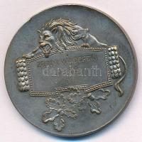 Szigethy István (1891-1966) 1935. "Huj huj hajrá! / Zrínyi Vándordíj 1935. II." ezüstözött...