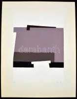 Mark (Márkus), Anna (1928-): Geometrikus kompozíció. Szitanyomat, papír, apró sérüléssel, jelzett, s...