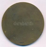 Berán Lajos (1882-1943) ~1930. "Országos Magyar Lövész Szövetség 1871" Br emlékérem hátold...