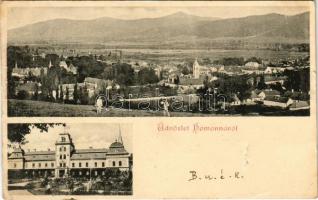 1900 Homonna, Homenau, Humenné; Andrássy Sándor gróf kastélya / castle (lyuk / hole)